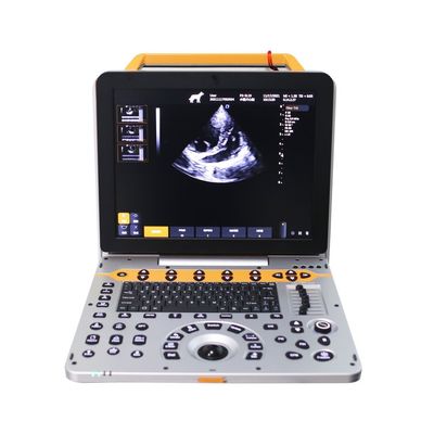 15 inch P60V Hệ thống siêu âm Doppler màu thú y di động cho phòng khám động vật nhỏ