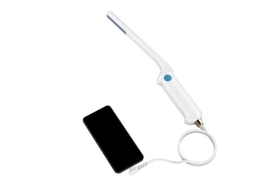 Mua Endocavitary Probe Universal Vet Ultrasound Machine 80 Element online manufacture