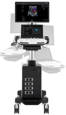 Mua Máy Echo Xe Đẩy 5D Sonoscape P11 Elite Với 4 Đầu Nối Đầu Dò online manufacture
