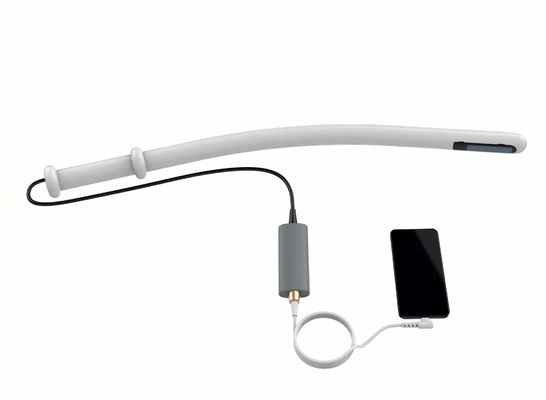 Mua Hệ thống siêu âm thú y Máy siêu âm bò 4.0MHz 6.0MHz 8.0MHz online manufacture