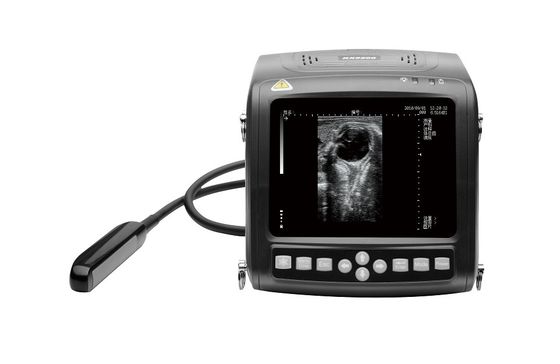 Mua Màn hình LCD 5,7 '' Máy siêu âm thú y gia súc cầm tay 1,1kg online manufacture