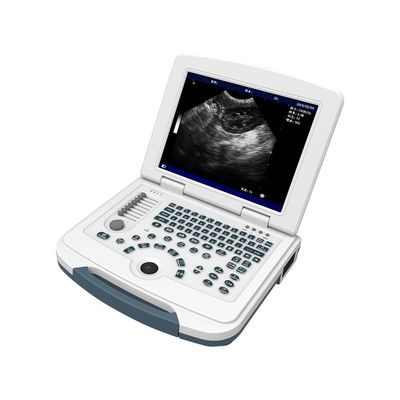 Mua Máy siêu âm thú y nền tảng PC Máy quét siêu âm động vật LCD 12.1 '' online manufacture