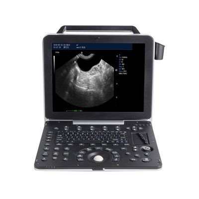 Mua Máy siêu âm thú y cầm tay LCD 15 '' Hình ảnh tỷ lệ xám 2D online manufacture