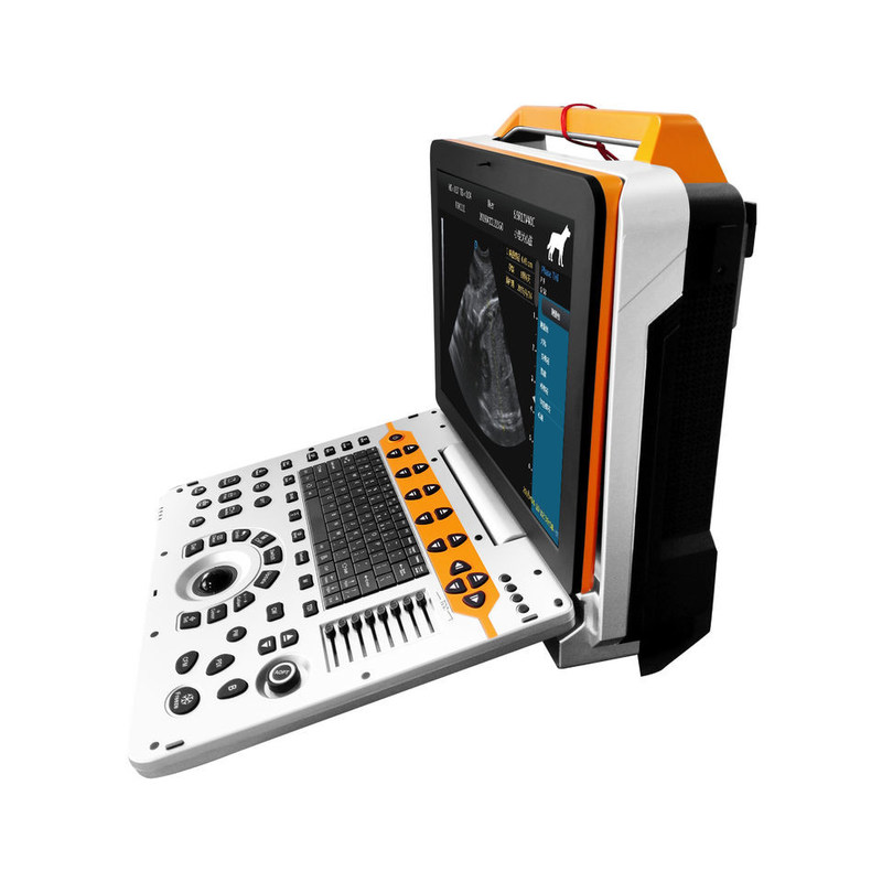 15 inch P60V Hệ thống siêu âm Doppler màu thú y di động cho phòng khám động vật nhỏ